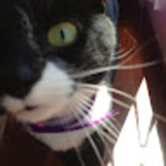 Meet your Posher, Leah - Picture 1 of 1